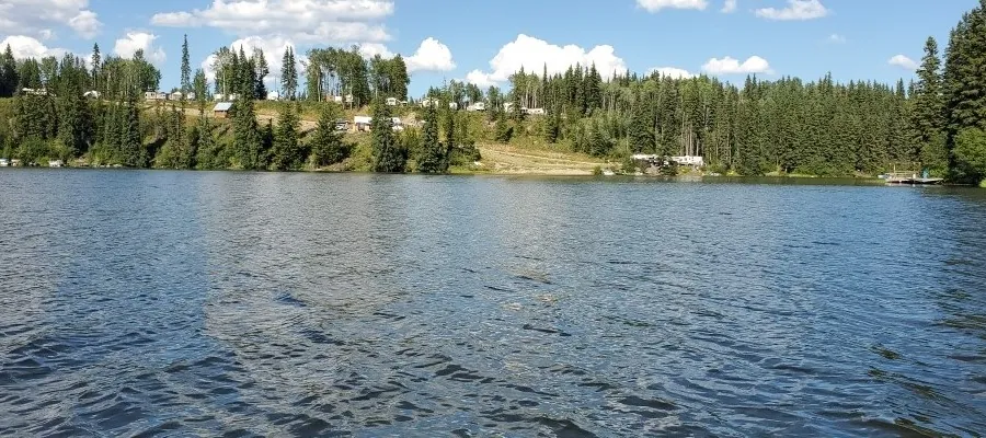 Bednesti Lake and the far shore on a sunny day