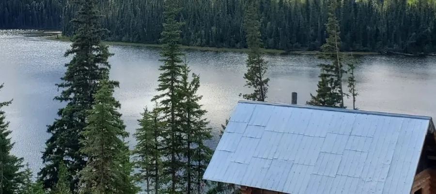 The lake from the hillside