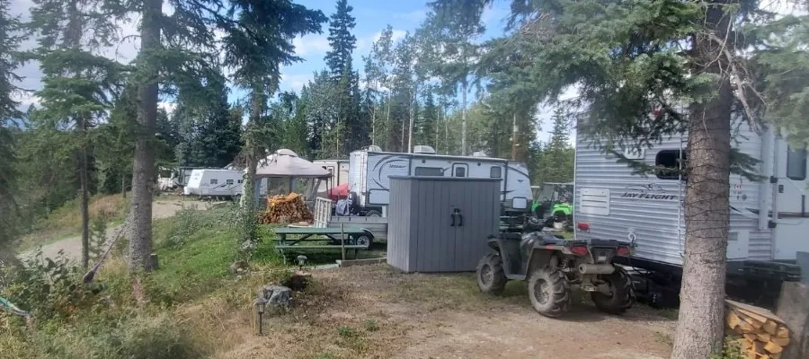 RV sites among the trees